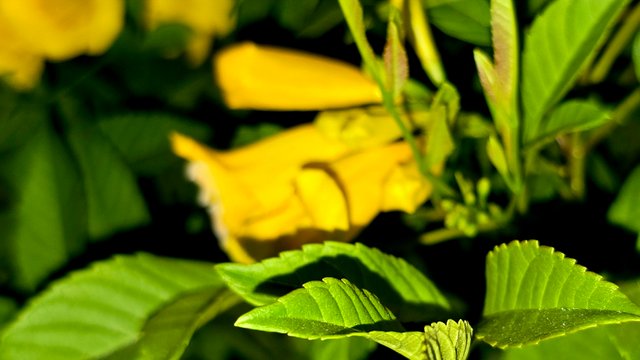 20250125_023043.jpg