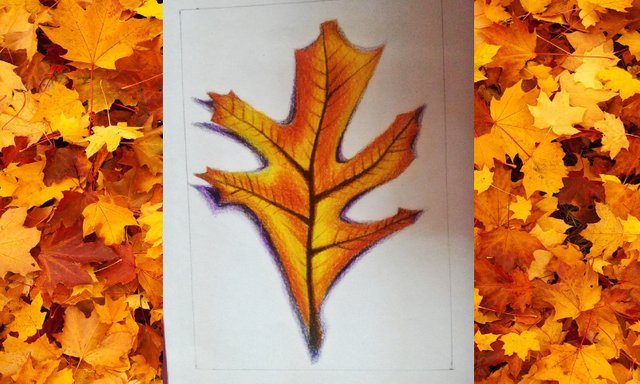 15 Easy Fall Leaf Drawing Ideas - Fall Leaves Drawing