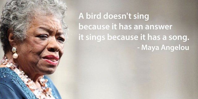 A bird doesn't sing because it has an answer it sings because it has a song. - Maya Angelou.jpg
