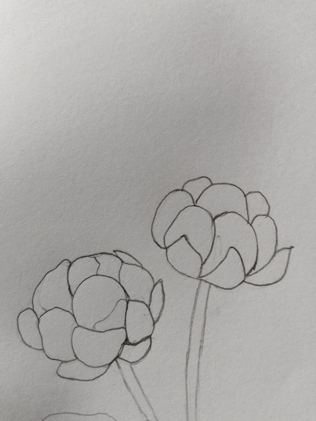 1000054533.jpg