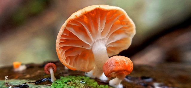 IMG20211201122149.jpg