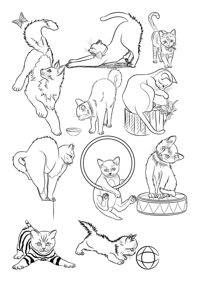 Pages from Kittens_RP.jpg