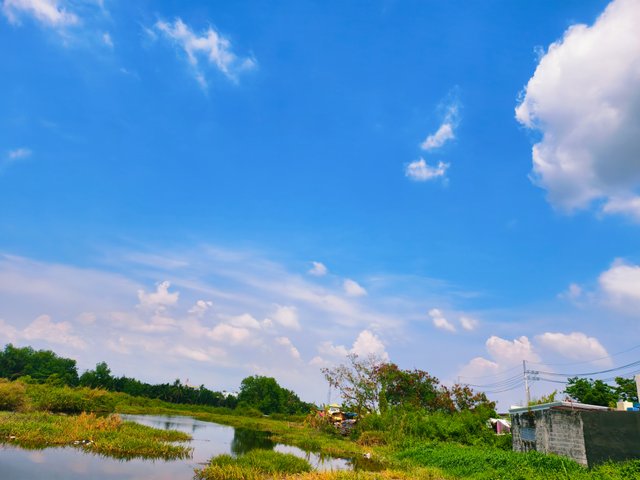 IMG_20250510_053823.jpg