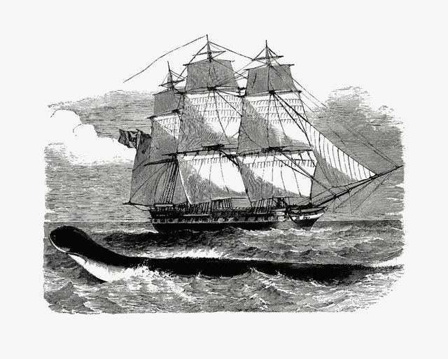 ship-ocean_53876-87346.jpg