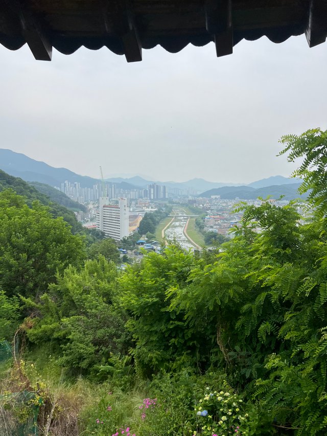KakaoTalk_20250602_184949618.jpg