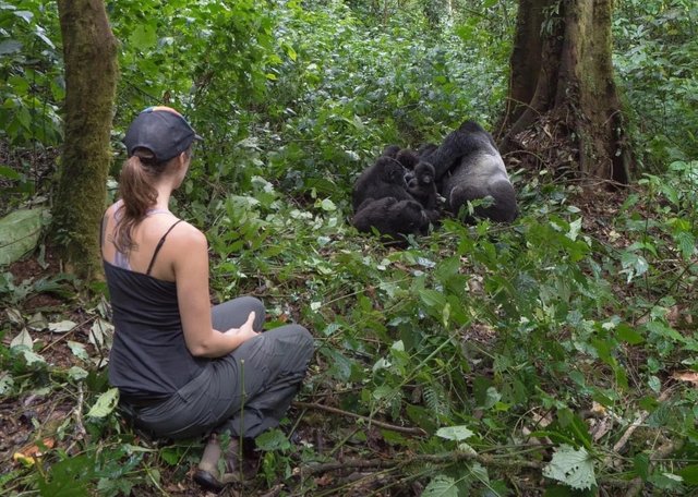 Gorilla permit and why you need it on Rwanda gorilla safari.jpg