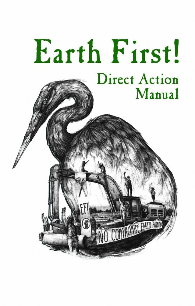 Cover-for-Direct-Action-Manual-655x1024.jpg