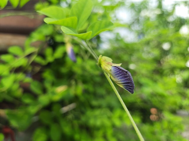 20250604_151349.jpg