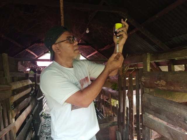 IMG20250501173056.jpg