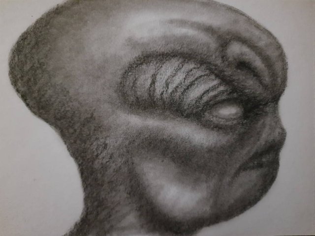 20250608_101636.jpg