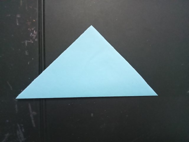 1000027152.jpg