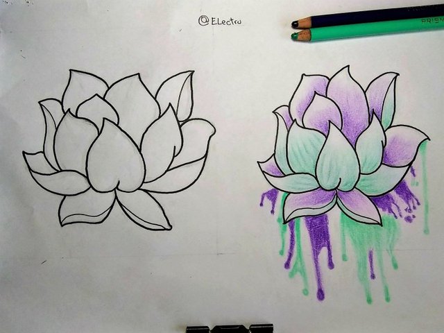 flor de loto 1.jpg