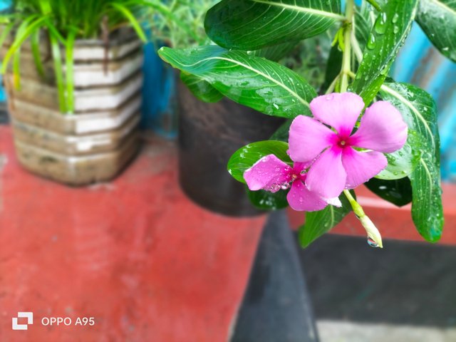 IMG20250531093735.jpg