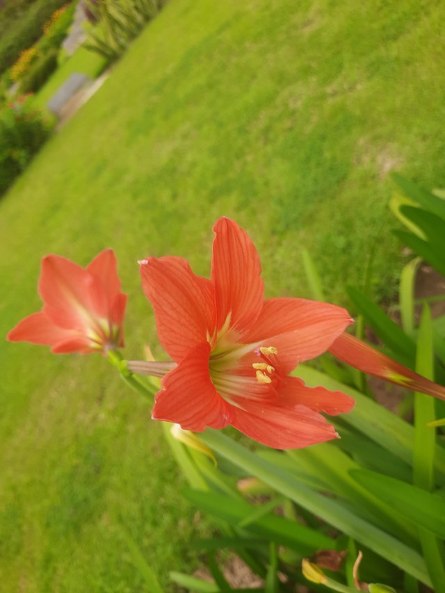 20250404_093010.jpg