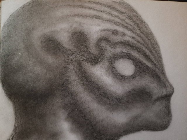 20250423_112650.jpg