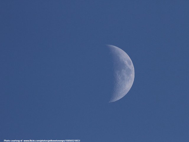 NearlyAHalfMoon-001-040919.jpg