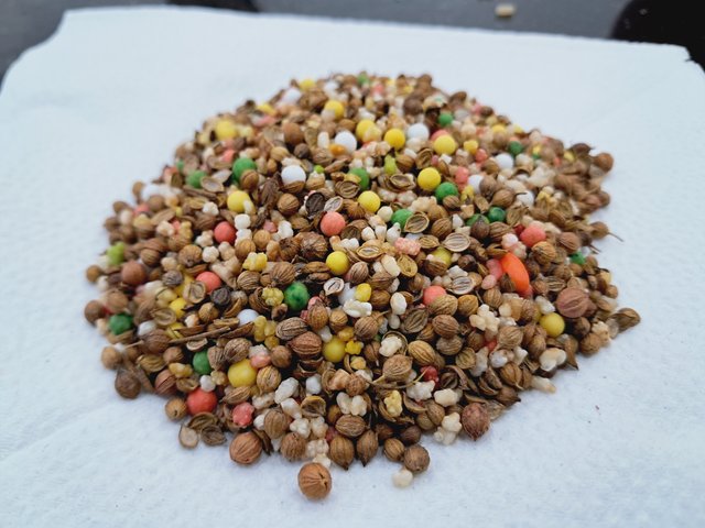 1000017062.jpg