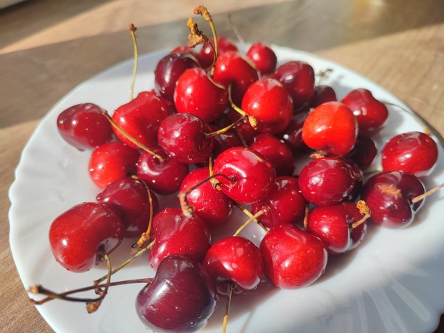 6VvuHGsoU2QBt9MXeXNdDuyd4Bmd63j7zJymDTWgdcJjo1LZ76fPFWNViUxQBCZYhXEBi4kEt5pLb2cQDhXoPniPF5FWQxejtgBuSKAgCWesiBVv3WboAuB6mXFFxi.jpeg