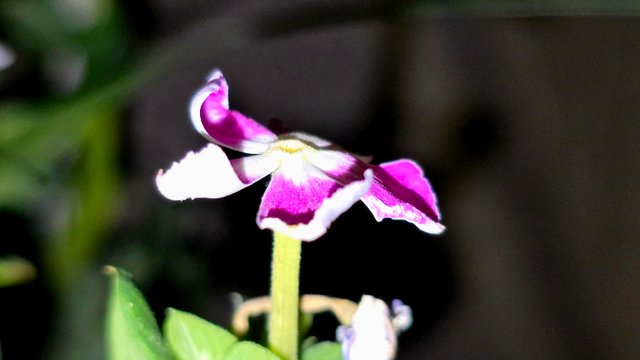 20250706_021723.jpg