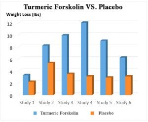 turmeric-forskolin-results-300x247.jpg