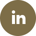 iconmonstr-linkedin-4-120.png