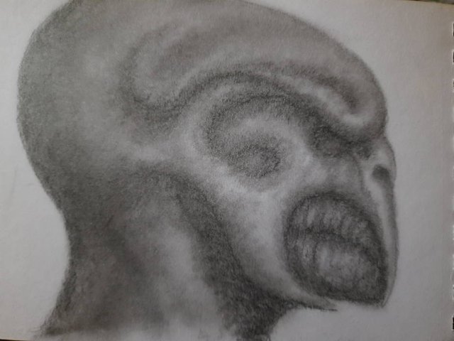 20250418_111114.jpg