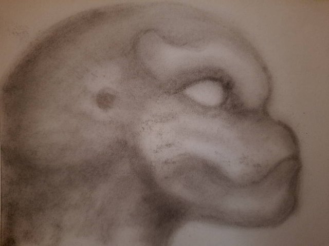 20250925_103345.jpg