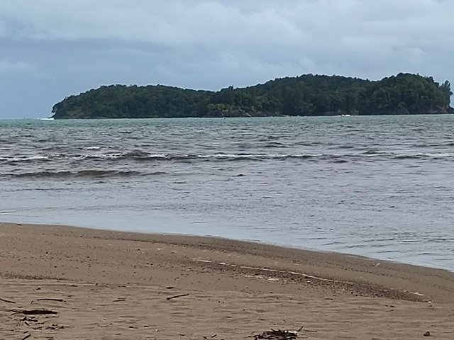IMG_20250515_142909.jpg