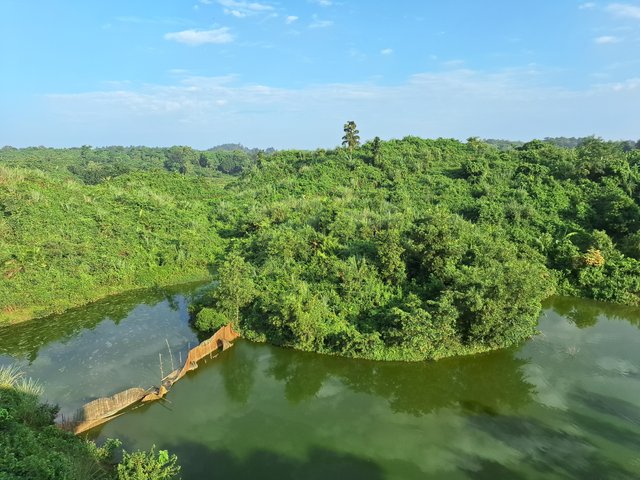 20241022_073143.jpg