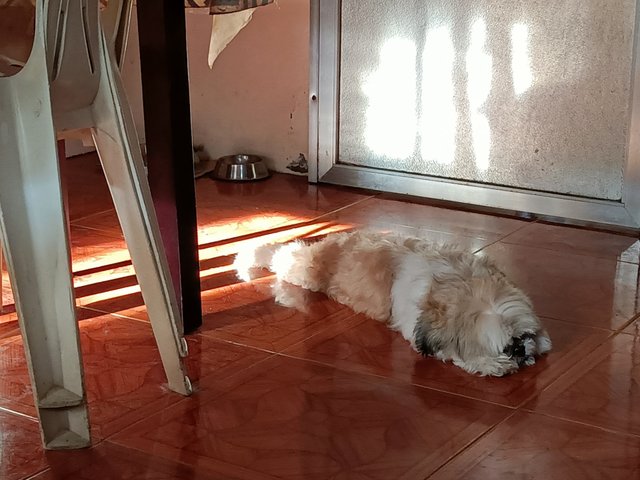 IMG20250411165014_100625.jpg