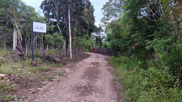 20250527_180555.jpg