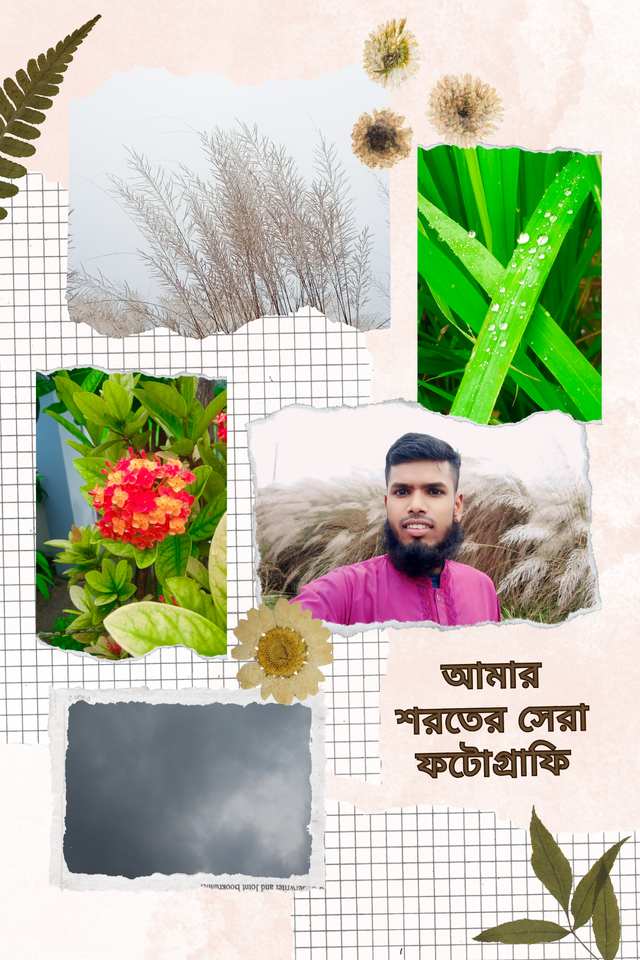 আমার শরতের সেরা ফটোগ্রাফি.png