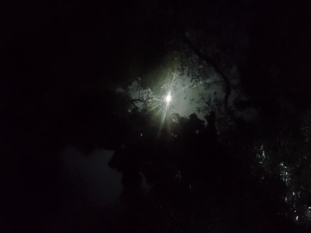 IMG_20250407_200250.jpg