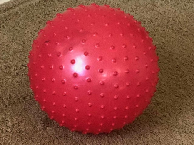 exercise ball.jpg