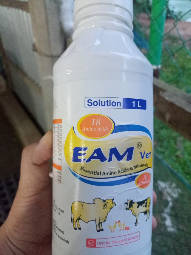 IMG20250804184029.jpg