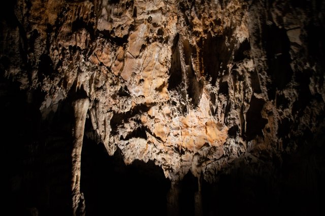 cave-postojna-slovenia-2451559(1).jpg