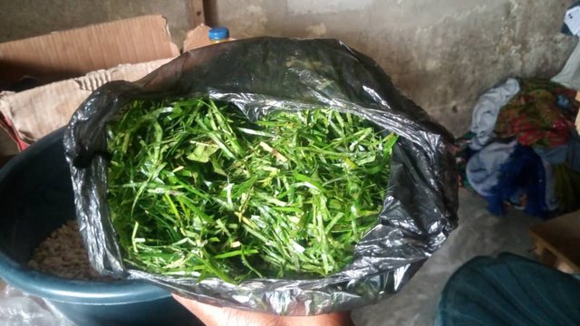 IMG-20250915-WA0066.jpg