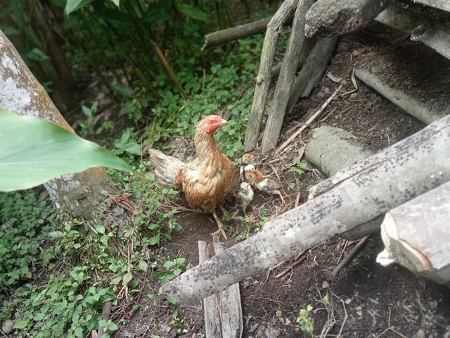 IMG20250320111428.jpg