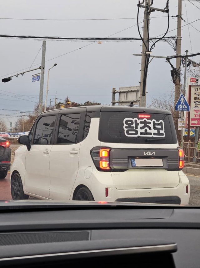 왕초보.jpg