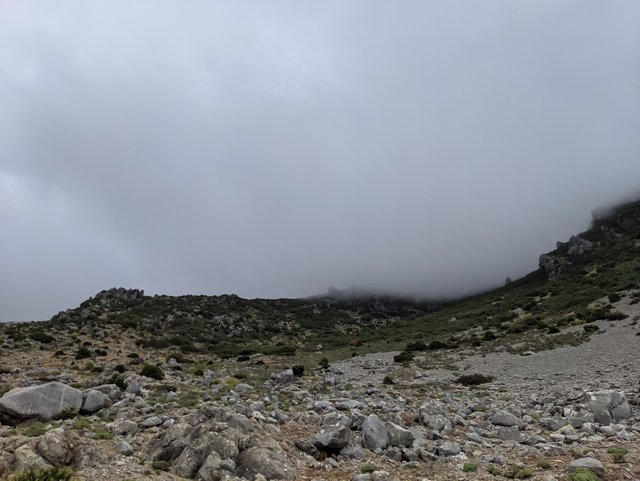 IMG_20191107_134735.jpg