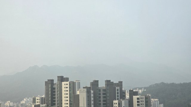 1000127342.jpg