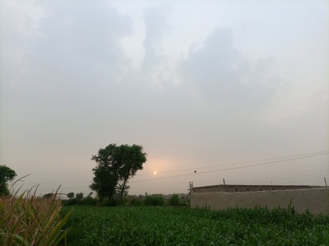 IMG_20250623_183736_714.jpg