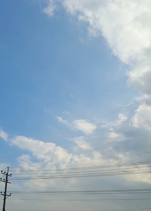 VideoCapture_2025080