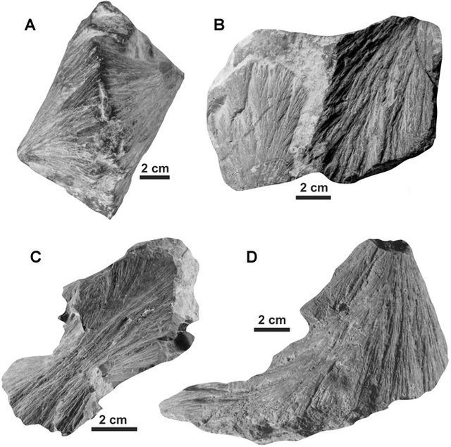 Osinski Figure 3.jpg