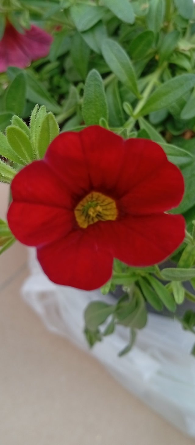 thumbnail_1747079022389.jpg