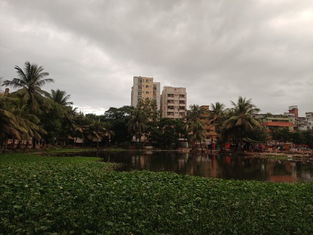 20251003_055206.jpg