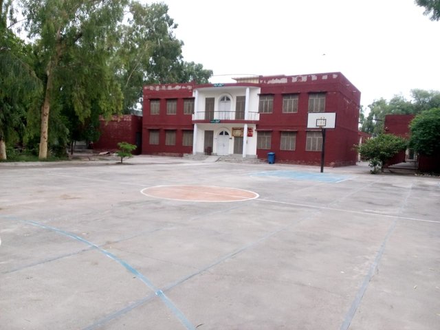 1000054354.jpg