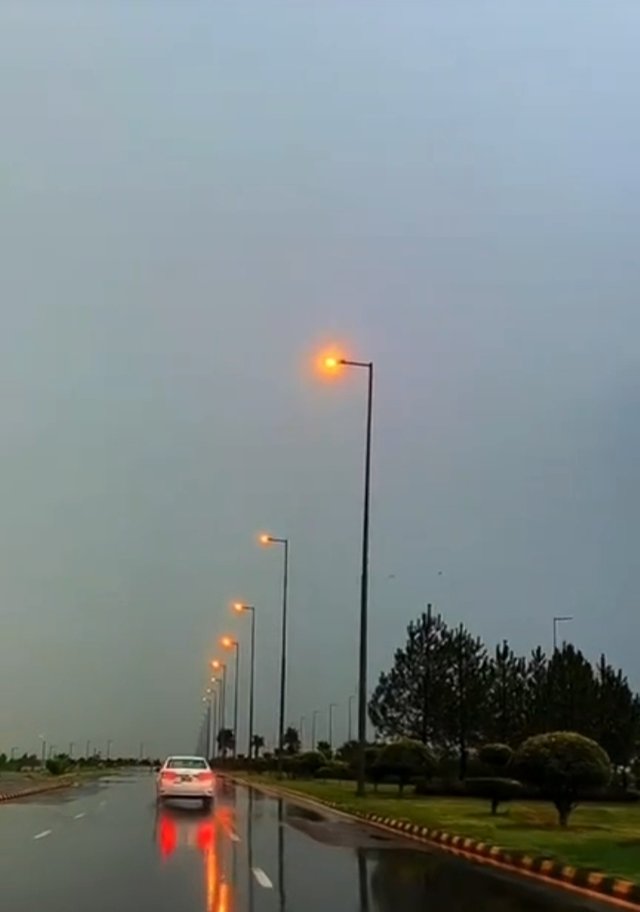 1744506536394.jpg