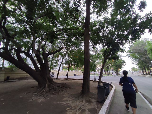 IMG_20250818_180756.jpg