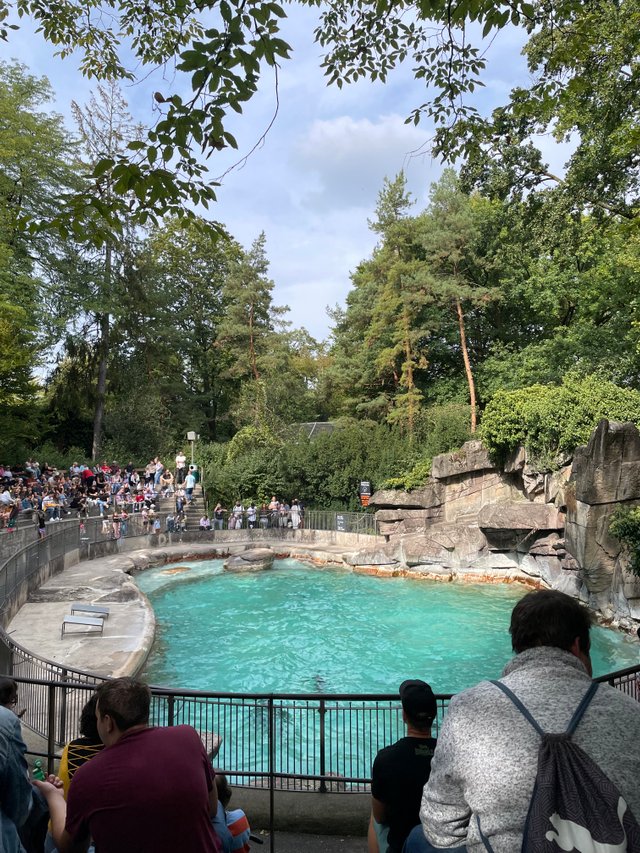 IMG_7973.jpeg